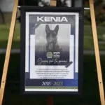 Kenia, la perra que luchó contra el narcotráfico y perdió la vida por una mercancía contaminada