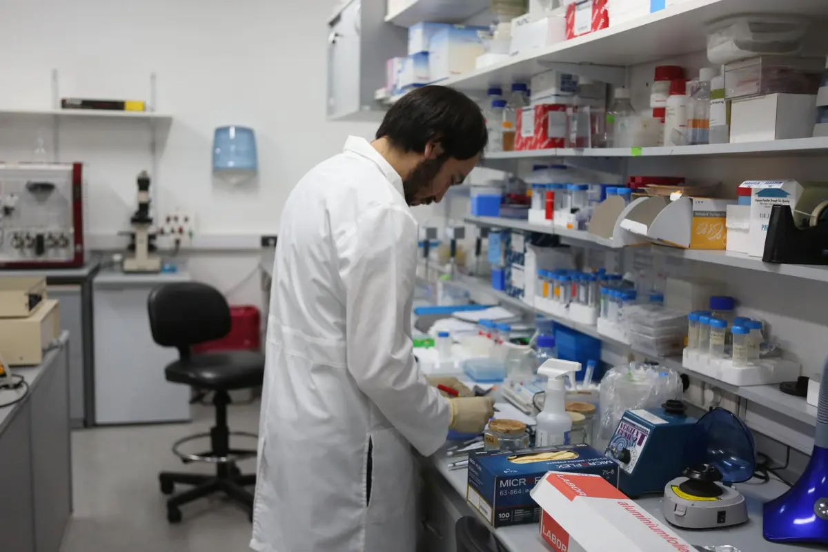 Los cánceres hematológicos aumentan un 11 % en una década y este año habrá 27.000 más