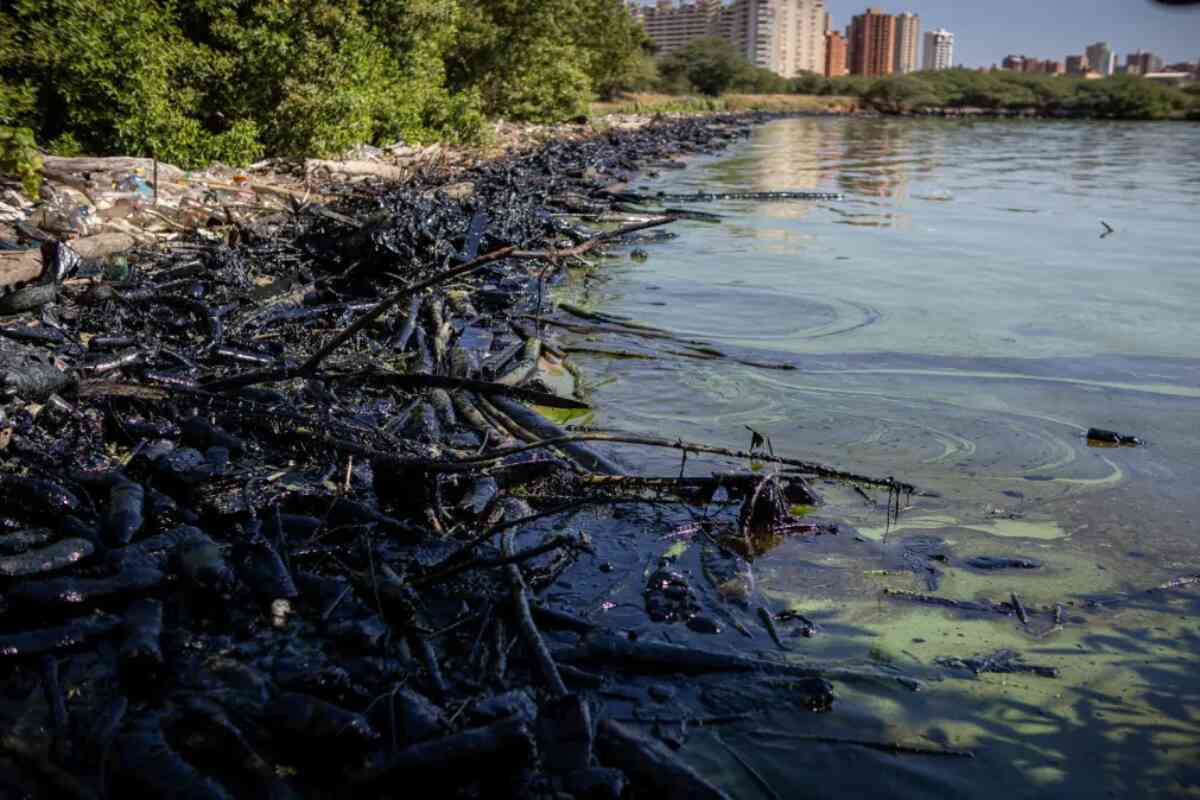 Pdvsa refuerza la limpieza del mayor lago de Venezuela afectado por derrames petroleros