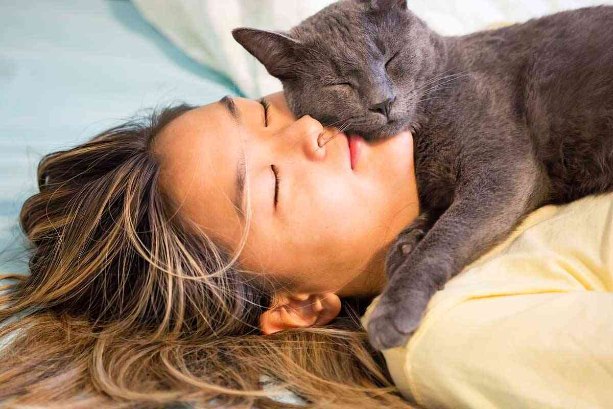 Razones por las que tu gato te despierta durante la noche y cómo solucionarlo