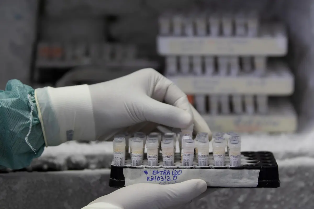 Un implante subcutáneo evita la infección por VIH en primates no humanos durante 20 meses