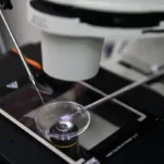 Una nueva técnica da lugar a estructuras que se asemejan a embriones humanos