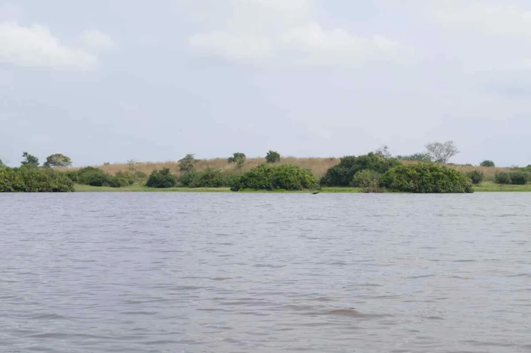 Joven pierde la vida tras quedar atrapado en las aguas de la ciénaga Las Marías