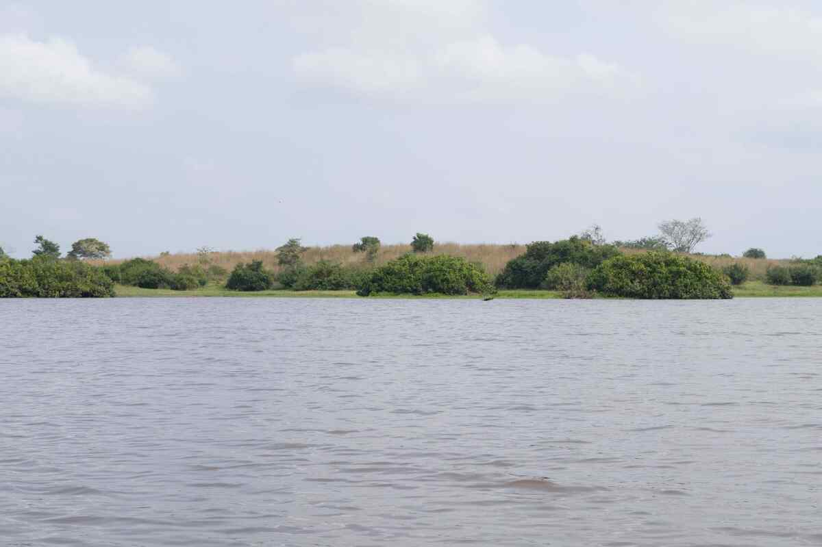 Joven pierde la vida tras quedar atrapado en las aguas de la ciénaga Las Marías