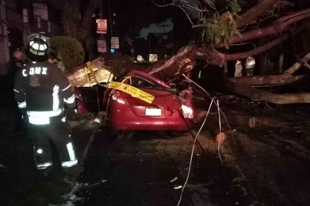 Trágico suceso en Narvarte Poniente: Muere mujer atrapada bajo un árbol caído durante tormenta en la CDMX