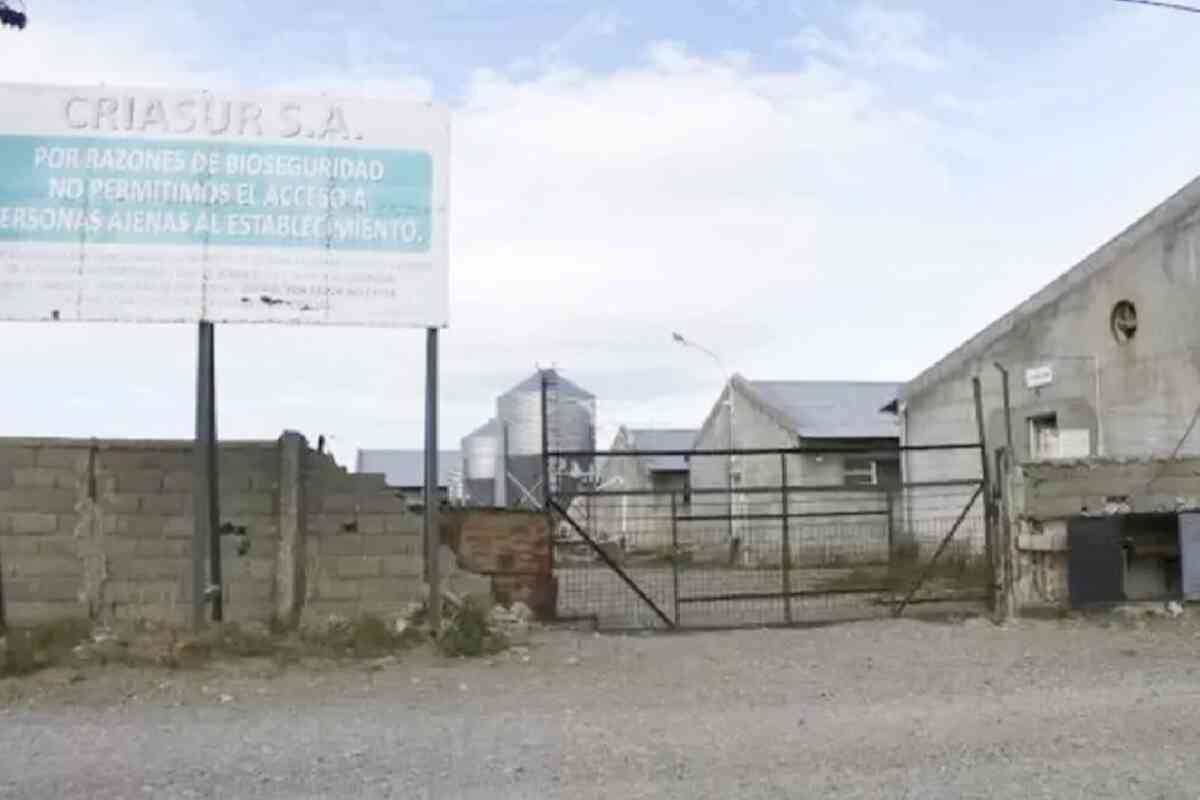 El drama de Juan Mansilla: el chileno que fue explotado laboralmente en una granja argentina por dos décadas