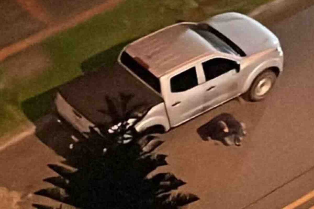 Revelan foto del momento en que encuentran muerto al coronel Dávila, implicado en chuzadas a exniñera de Sarabia