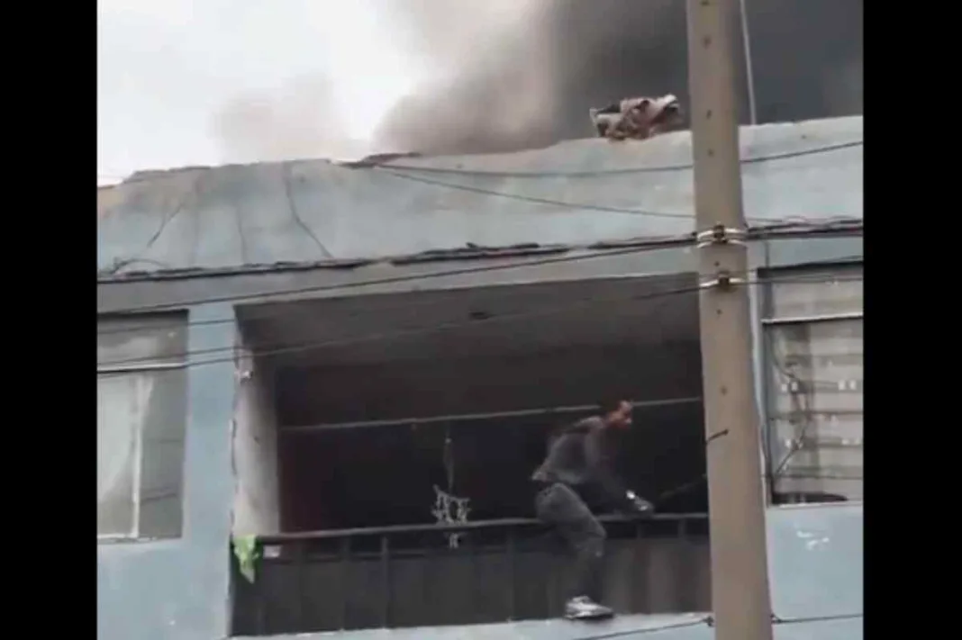 La Victoria: así fue el rescate de los 13 perros atrapados en voraz incendio-gamarra- Perú- lima