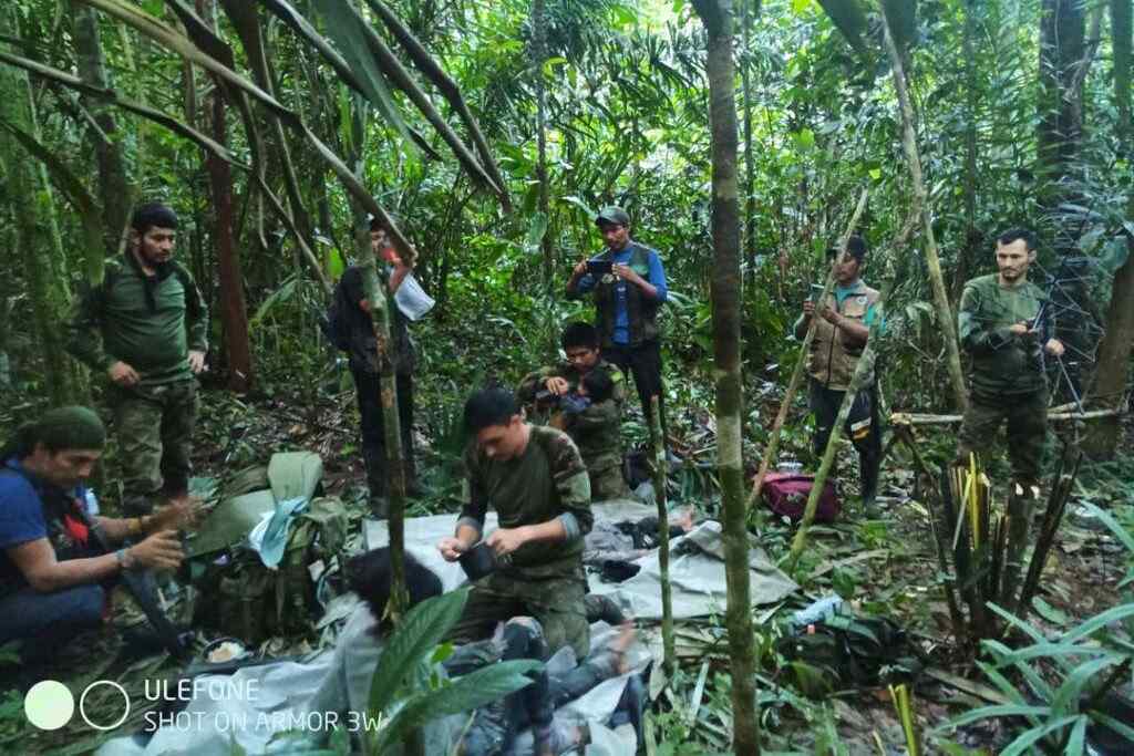 ¿Cómo están los cuatro niños que sobrevivieron 40 días en la selva del Guaviare?- tras accidente de avioneta- rescate de los menores indigenas