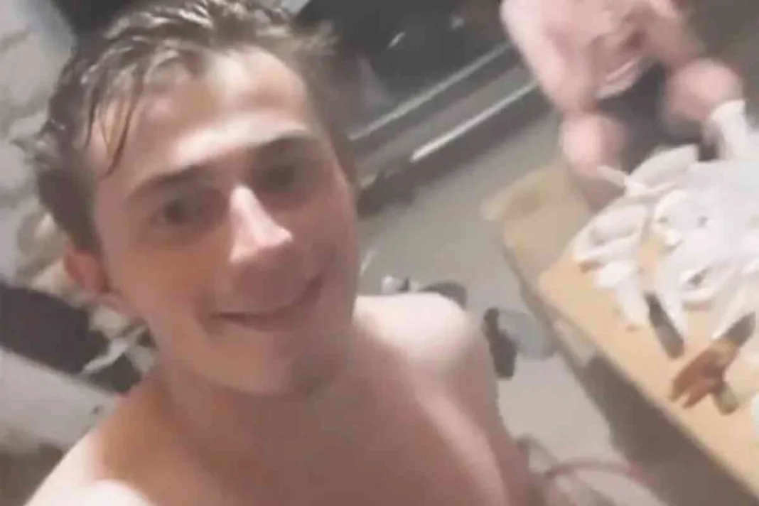 Un tiburón se come en minutos a un turista en una concurrida playa en Hurghada, Egipto ..Confirman que restos hallados en tiburón corresponden a joven atacado en playa -Vladimir popov