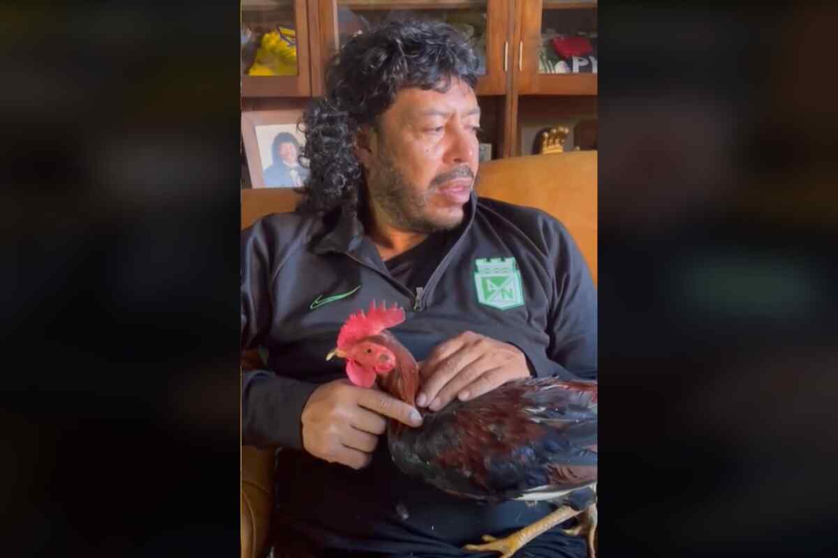 René Higuita aclara malentendido y niega burla a la afición de Millonarios