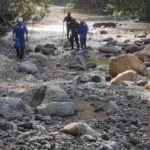 ¿Qué pasó con el cuerpo mutilado hallado en una vereda de Barbosa?
