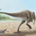 Describen en España una nueva especie de dinosaurio que fue de los últimos en extinguirse