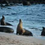 El biobanco que guarda el tesoro genético de las Islas Galápagos