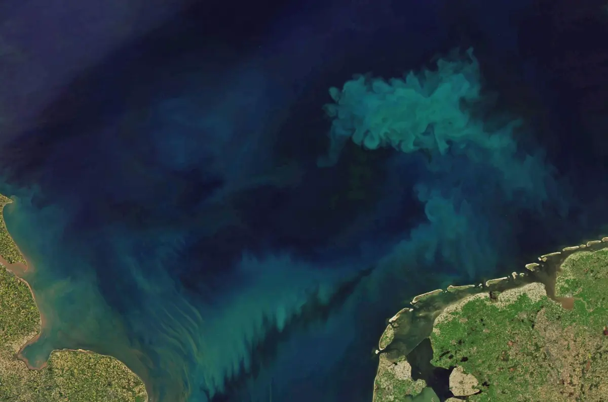 El cambio climático está alterando el color del océano - refleja cambios en los ecosistemas
