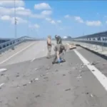 El puente de Crimea, clave para la logística bélica rusa, sufre otro ataque mortífero 1