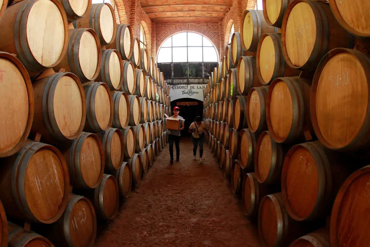 La industria tequilera en México certifica sus agaves para evitar un impacto ambiental