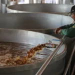 La industria tequilera en México certifica sus agaves para evitar un impacto ambiental