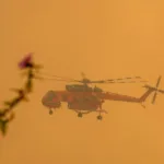 Los bomberos logran contener los principales incendio forestales en Grecia