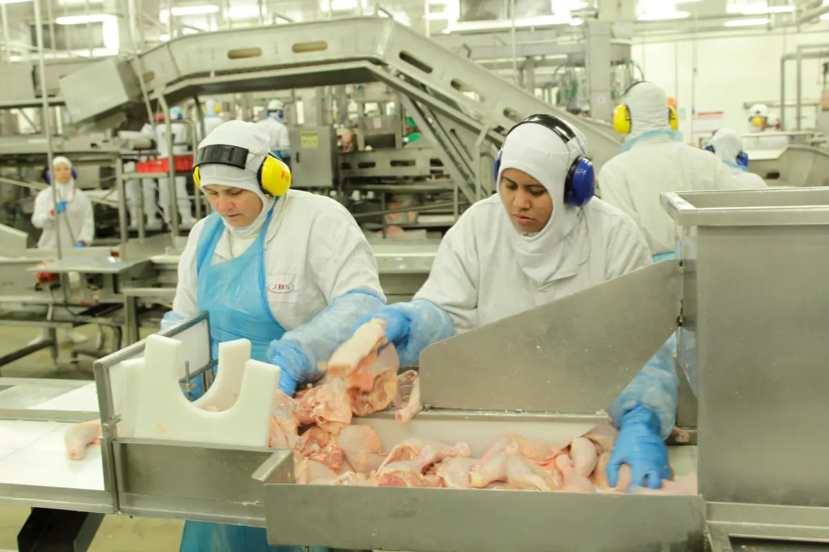 Los estados brasileños se organizan para impedir el avance de la gripe aviar