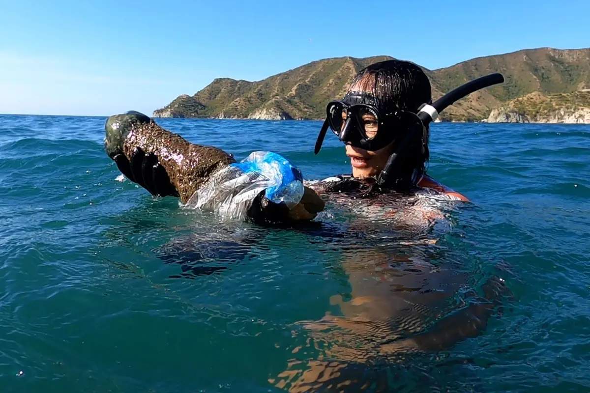 Los peces de la apnea, los aficionados a la inmersión que ayudan a limpiar el mar Caribe