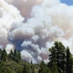 Más de 500 personas desalojadas por un incendio forestal en las islas Canarias 1