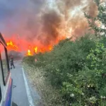 Tormentas e incendios, Italia vive uno de los días más complicados de las últimas décadas