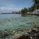 Venezuela limpiará unas 600 playas afectadas por la contaminación en su principal lago