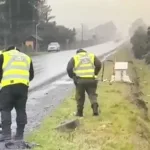 Villarrica; Detienen al presunto conductor responsable del fatal atropello de madre y su bebé