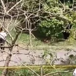Encuentran cadáver amarrado y envuelto en cobijas en el barrio Belalcázar de Medellín