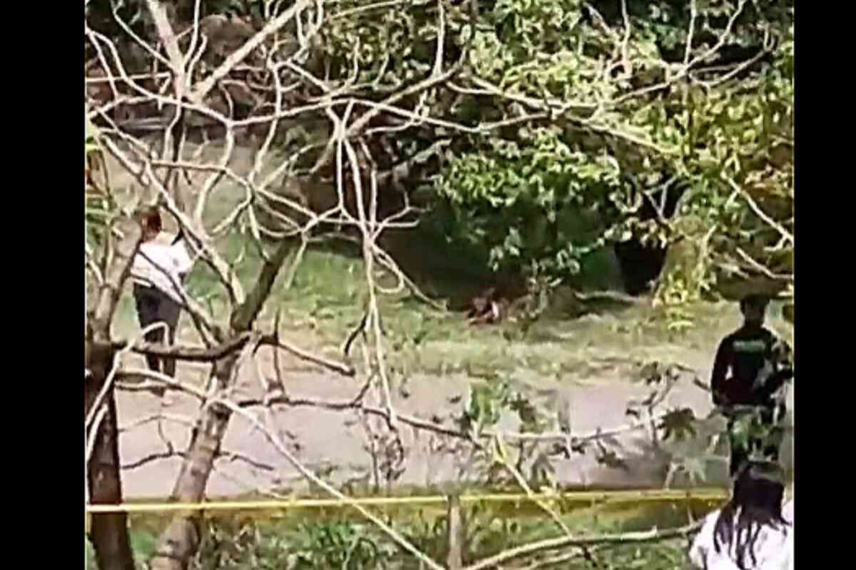 Encuentran cadáver amarrado y envuelto en cobijas en el barrio Belalcázar de Medellín
