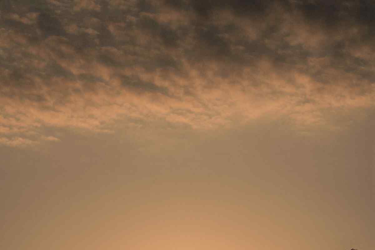 La canícula está aquí: Prepárate para enfrentar las altas temperaturas del verano