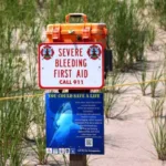 Cape Cod, el hogar de 800 tiburones blancos en el Atlántico Norte