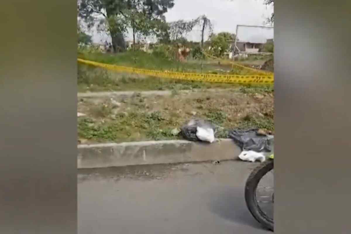 Fetos abandonados en bolsas de basura en Cali serían gemelos