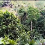 Cinco muertos al caer de una garrucha en el río Sucio de Dabeiba, Antioquia