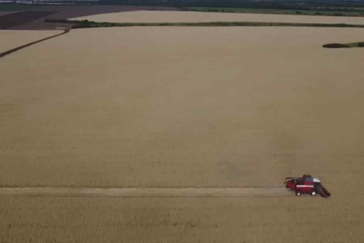 Rusia suspende el acuerdo de granos: ¿Crisis alimentaria global en el horizonte?