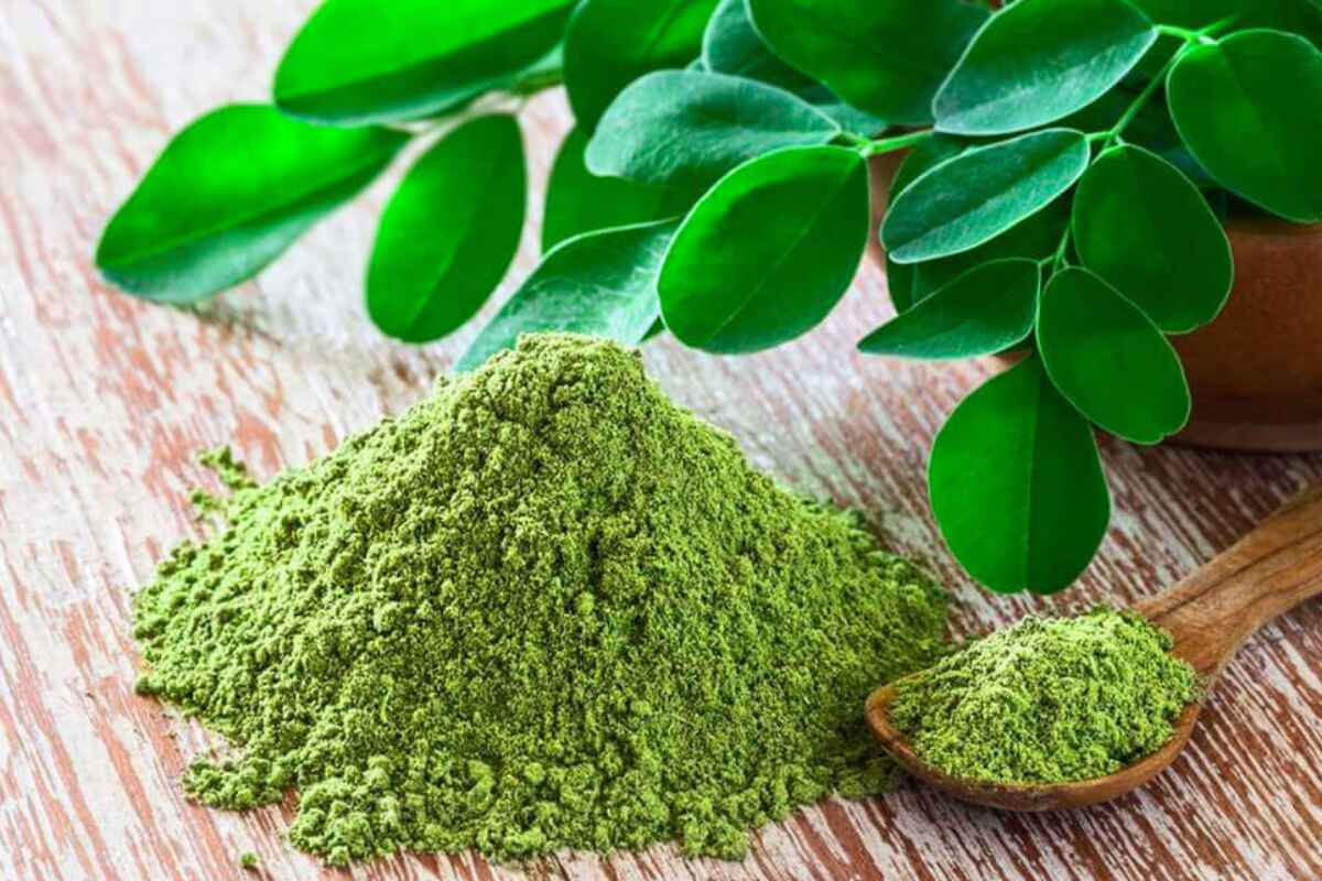 Los beneficios de la moringa para el sistema inmunológico, la presión arterial y más