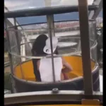 Video: pareja se olvidó de todo y tuvo sexo en la Rueda Capital del Parque Salitre Mágico