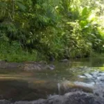 Córdoba: padre e hija mueren ahogados en quebrada La Concepción de Puerto Libertador