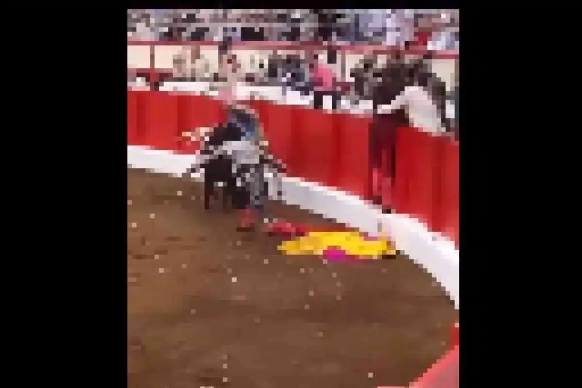 Toro de 500 kilos hiere gravemente a dos toreros en Santander