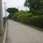 Horror en Campoalegre: un hombre armado acaba con la vida de 4 mujeres de su familia en Tuluá