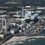 Japón dice que las muestras de pescado capturado en Fukushima no registran contaminación