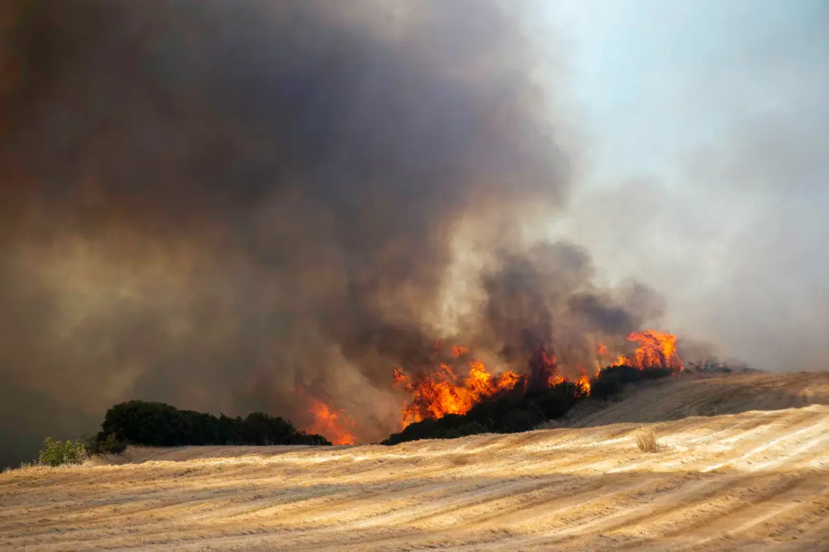 La Agencia Espacial Europea actualiza su Atlas Mundial de Incendios