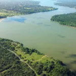 La bioeconomía es la alternativa para la Amazonía si se superan los cuellos de botella