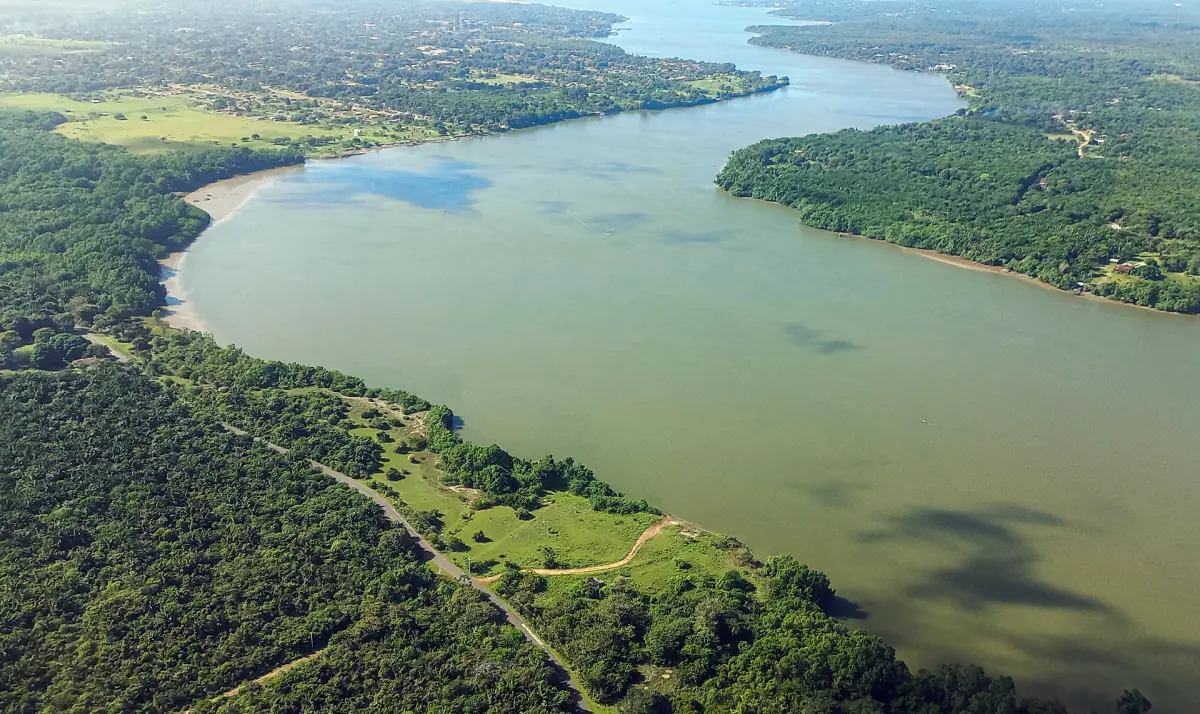 La bioeconomía es la alternativa para la Amazonía si se superan los cuellos de botella
