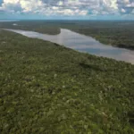 La deforestación, tema central de la cumbre amazónica y reto para los países de la región