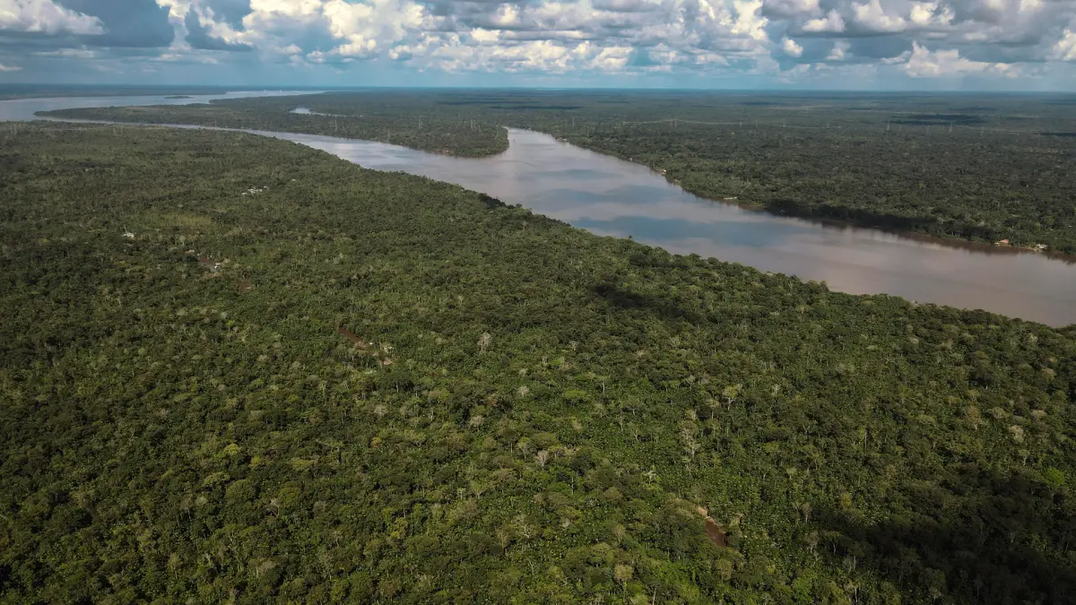 La deforestación, tema central de la cumbre amazónica y reto para los países de la región