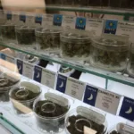 Los adultos mayores de 65 años - la nueva cara de la marihuana en Estados Unidos