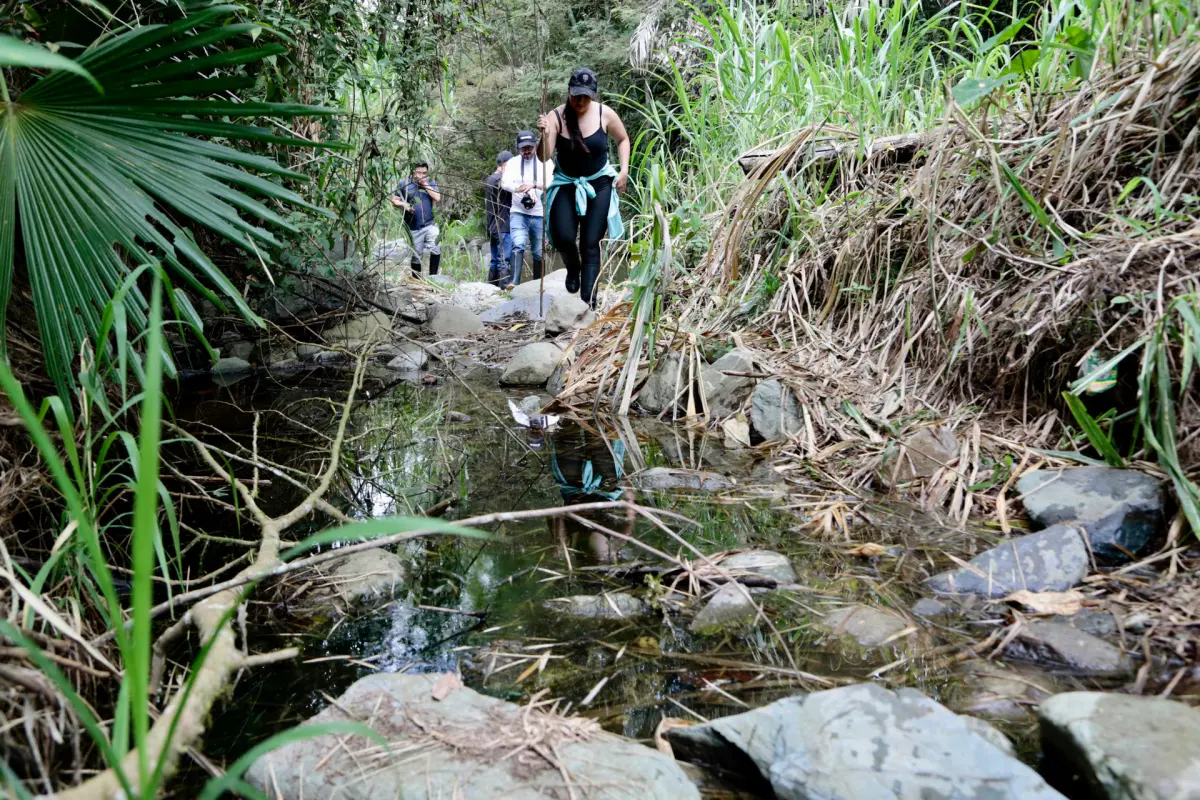 Pobreza, tala y polución, los motivos del No a vetar minería en el Chocó Andino de Quito