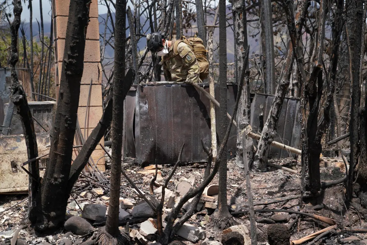 Sube a 67 el número de fallecidos por los incendios en Hawái 1